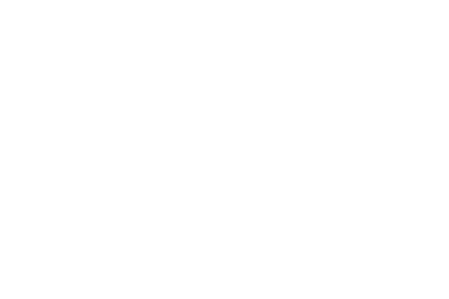 Thức ăn chăn nuôi PerBig-S