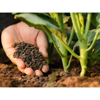 Phân bón hữu cơ góp phần phát triển nông nghiệp sạch