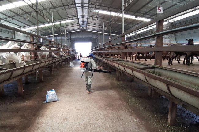 Giới thiệu EPS