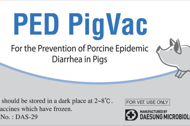 PED PigVac